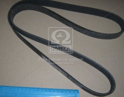 Ремінь поліклін. (вир-во Contitech)