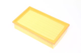 Фильтр воздушный ExtraClean  PSA  (RIDER)