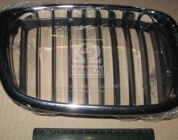 Решітка в капоті пра. BMW 5 E39 (TEMPEST)