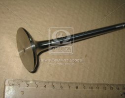 Клапан выпускной Renault (RVI) MIDR06.20.45 9x48x163.1 (пр-во KOLBENSCHMIDT)