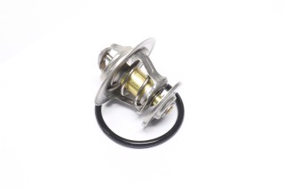 Термостат SKODA OCTAVIA, FABIA (RIDER)