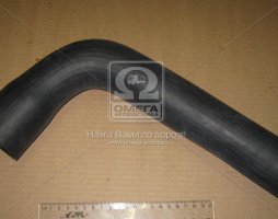 Патрубок радіатора (вир-во Sampa)